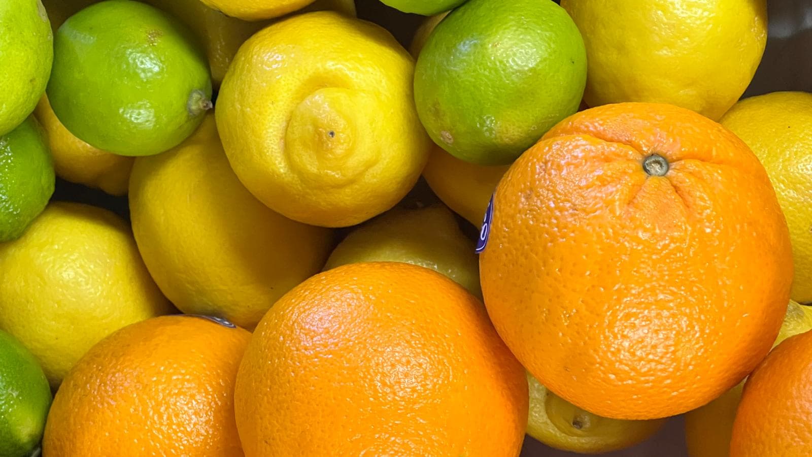 Fresh citrus fruit — oranges, lemons and limes