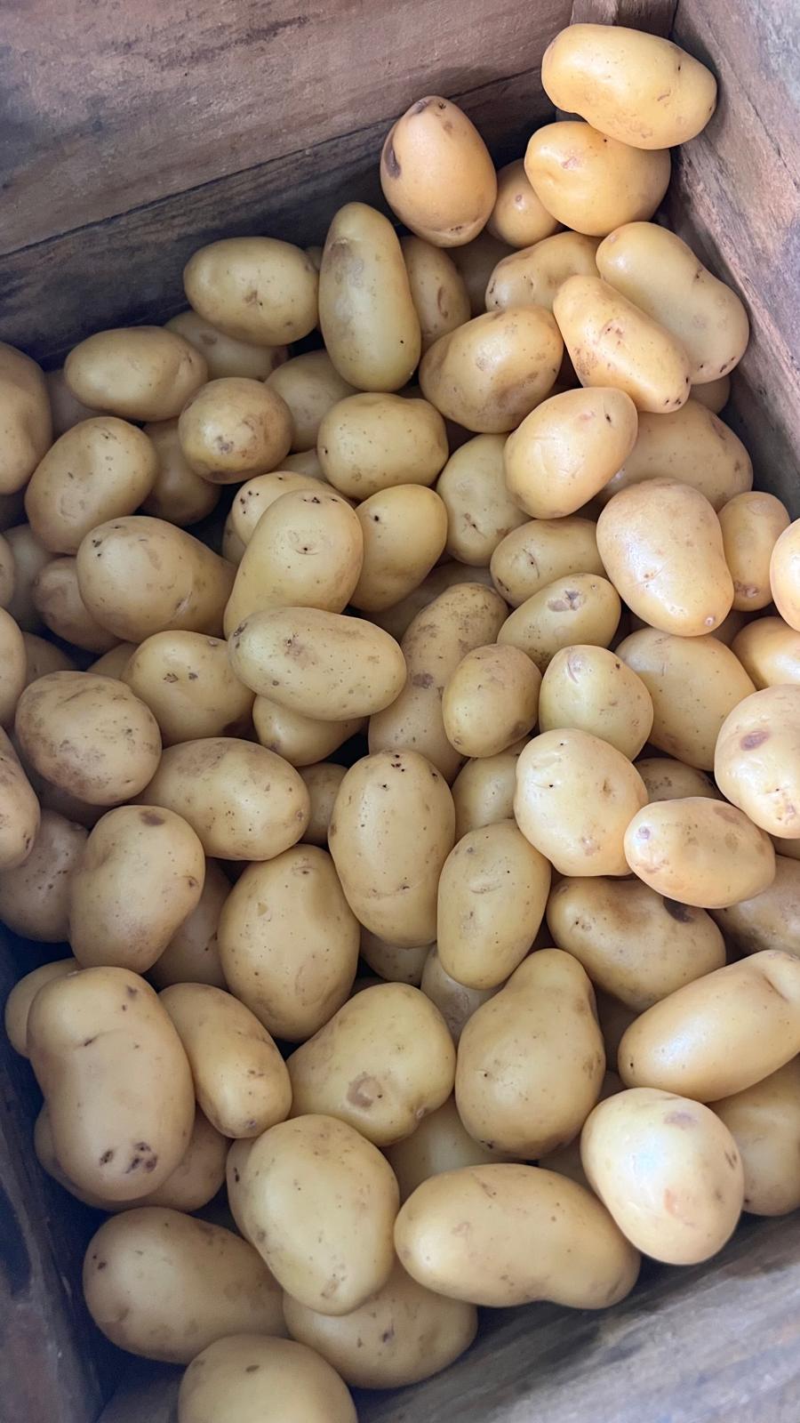 Baby potatoes in a wooden crate
