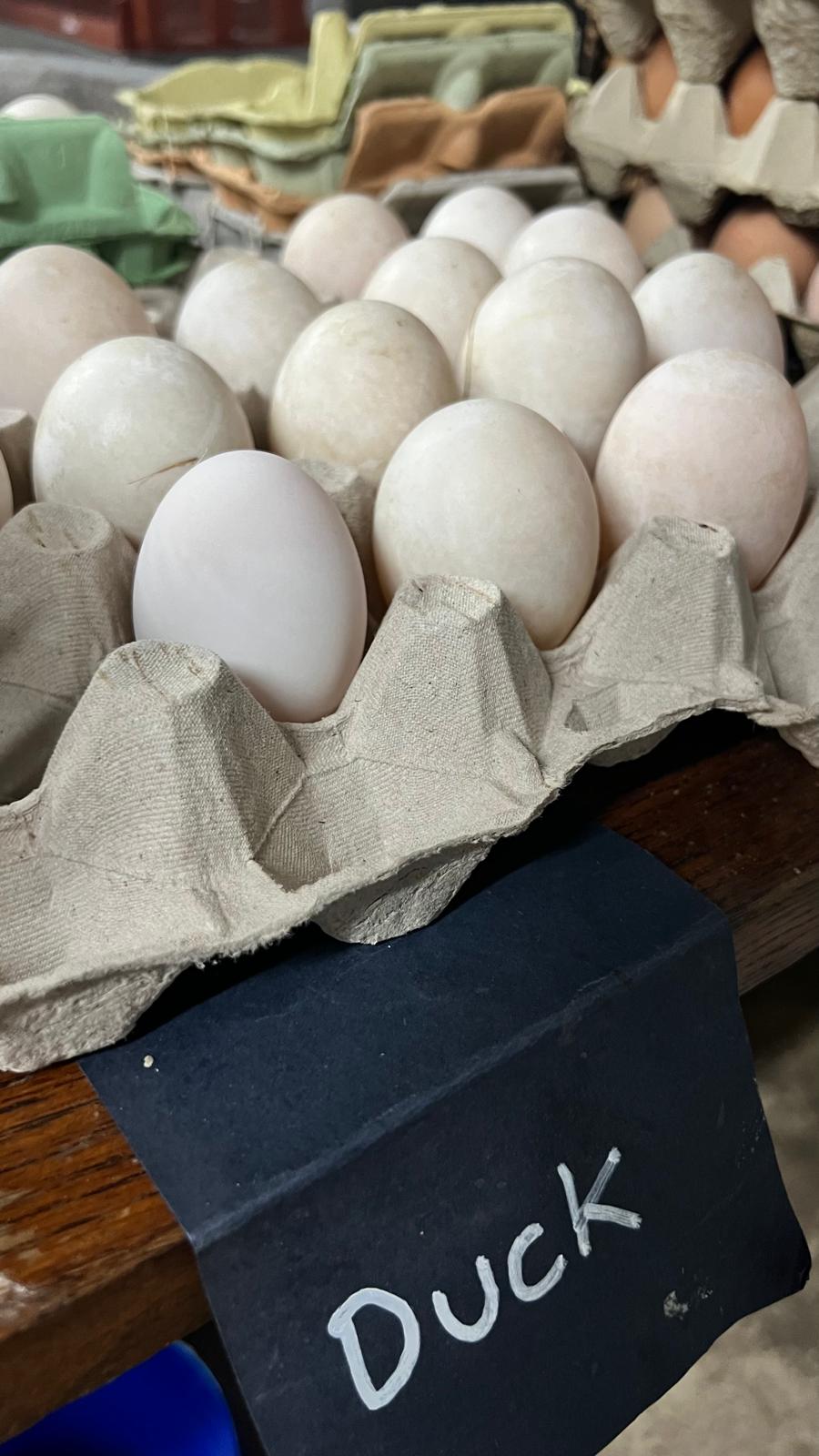 Duck eggs on the shop counter — a closer view