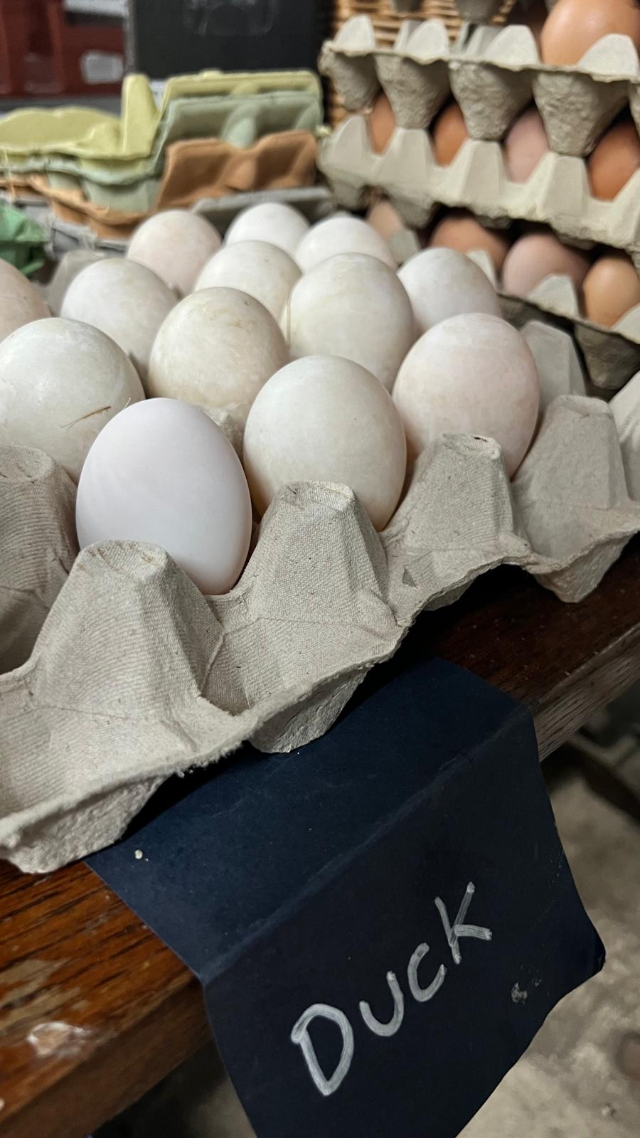 Duck eggs on the shop counter with a hand-written label