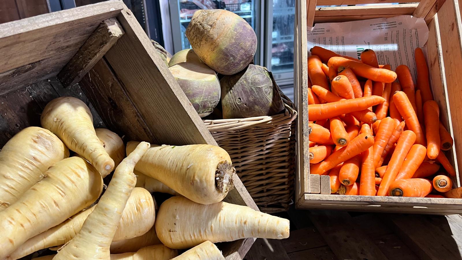 Parsnips, swede and carrots in crates in the shop
