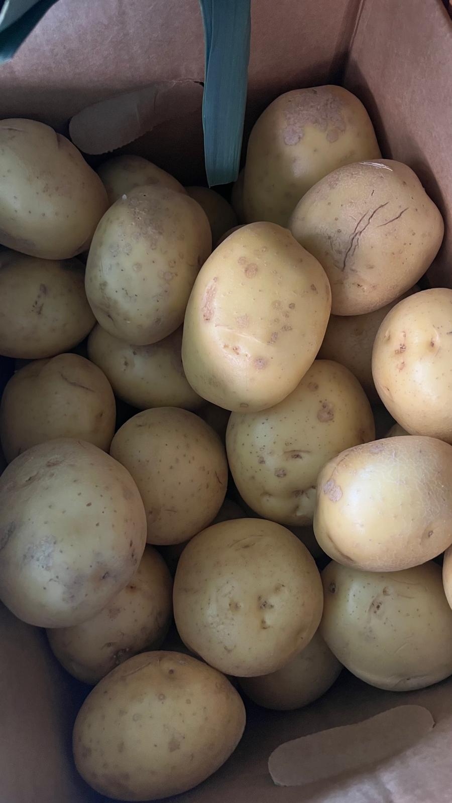 A box of freshly harvested potatoes