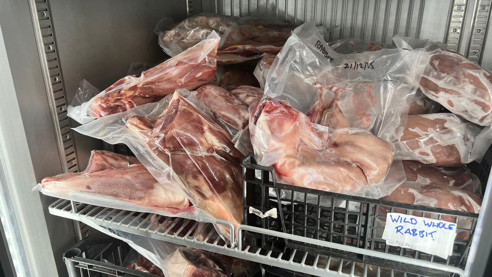 The freezer stocked with whole wild rabbits