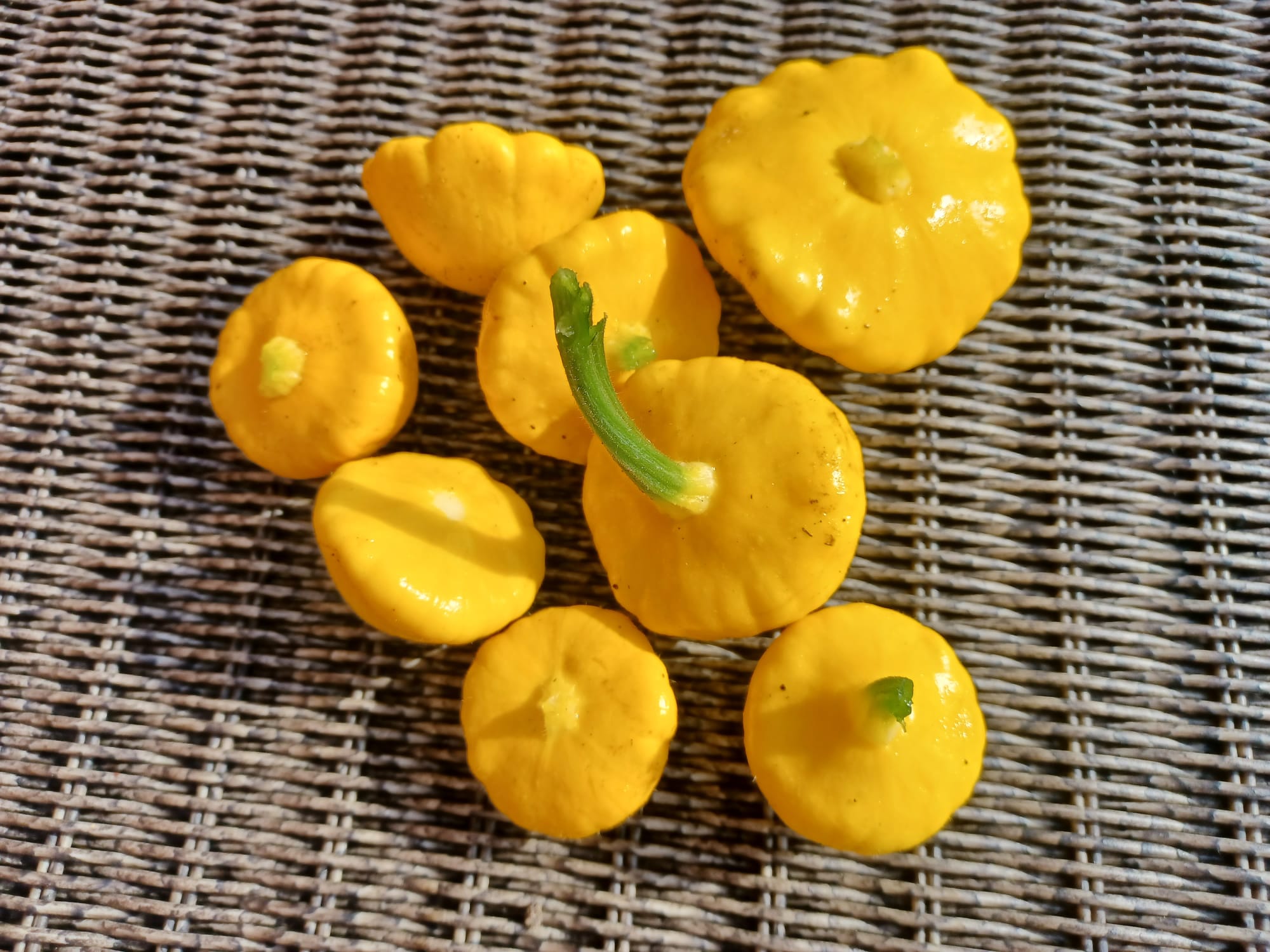 Yellow patty pan squash on a wicker surface